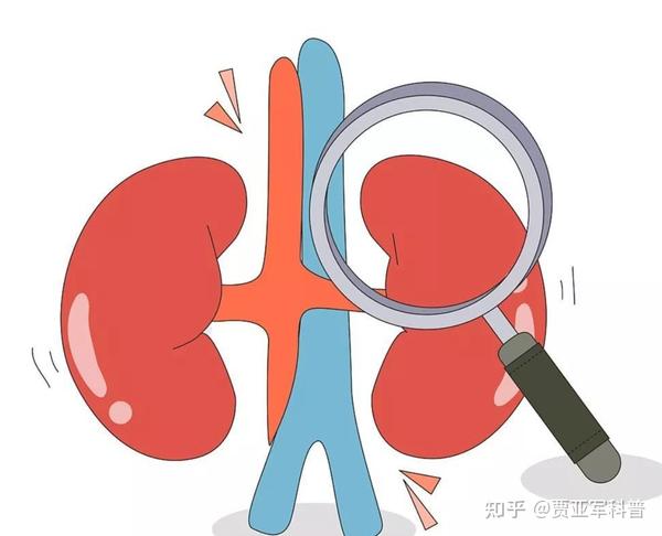 补肾先补脾,补脾先疏肝,三盒中成药,疏肝、健脾、补肾一次搞定 - 知乎