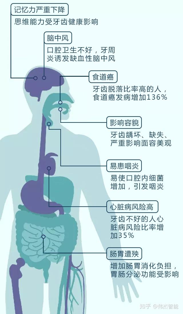 17年了8020计划你了解吗