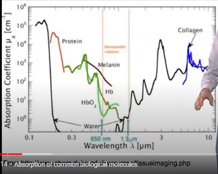 introduction-of-two-photon-microscopy