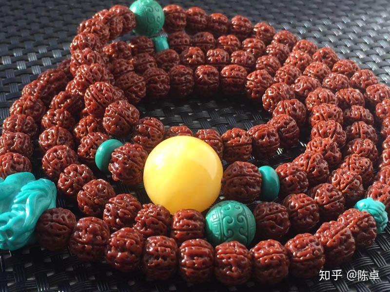 一篇文章让你了解金刚菩提(金刚菩提百科) - 知乎 一篇文章让你了解金刚菩提(金刚菩提百科) - 知乎