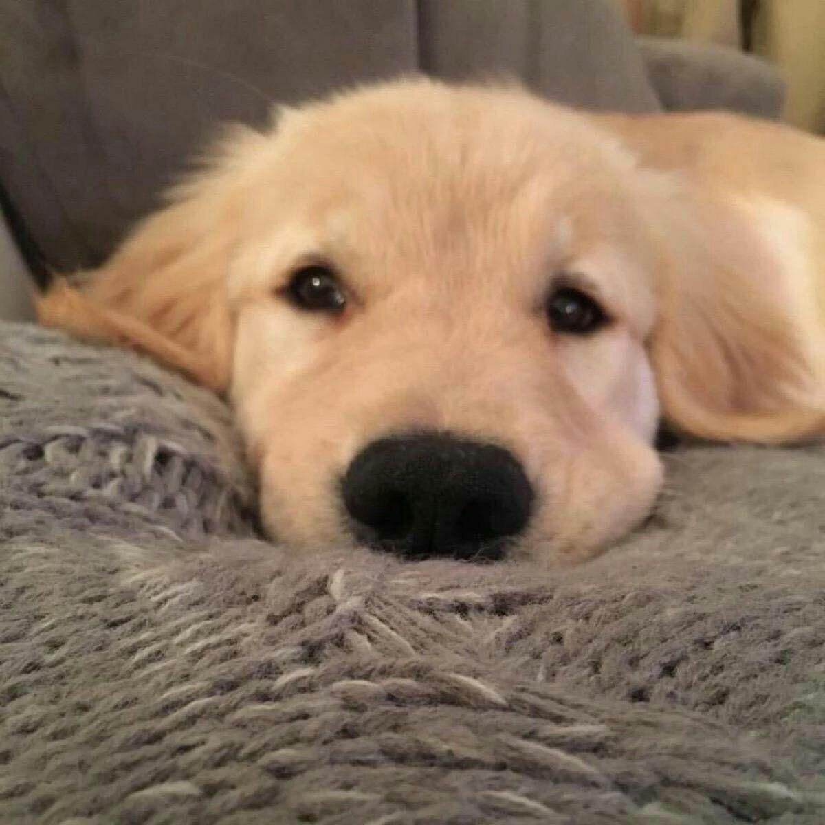 无印良品兼职面试简历面试完还处于面试阶段是