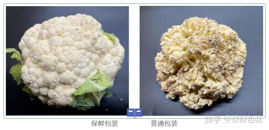 花椰菜保鲜花椰菜对比失重率花椰菜保鲜实验总结:普通包装:第12天