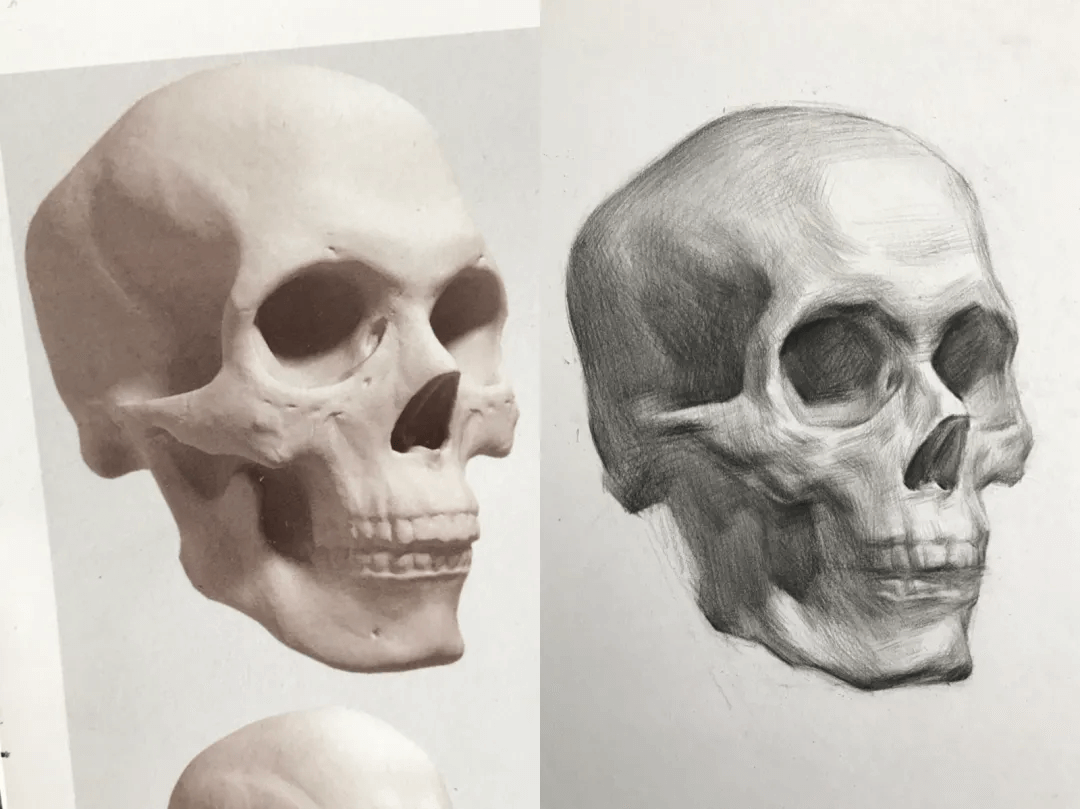 郑州小泽画室学员10天素描头像蜕变过程及方法