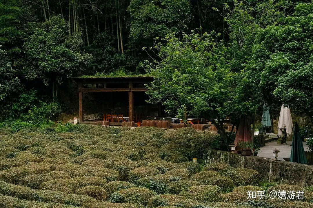 如果在天台想要入住寺院的话,可以选择国清寺附近的通玄寺.