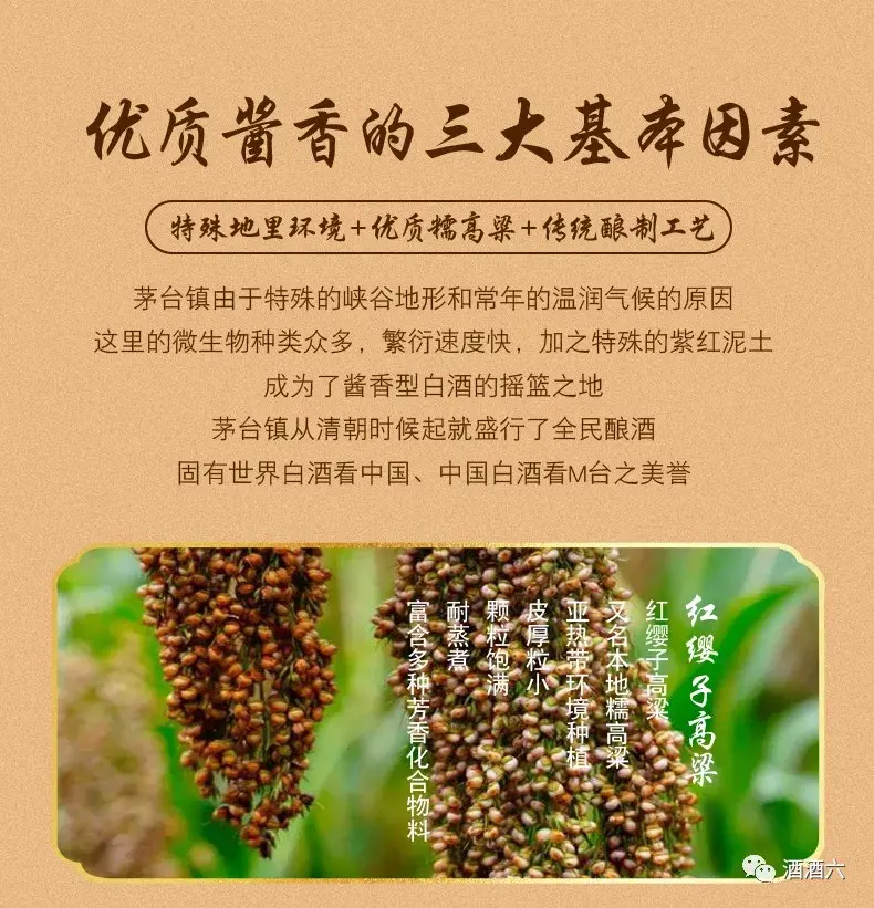 酱香型白酒和浓香型白酒的区别