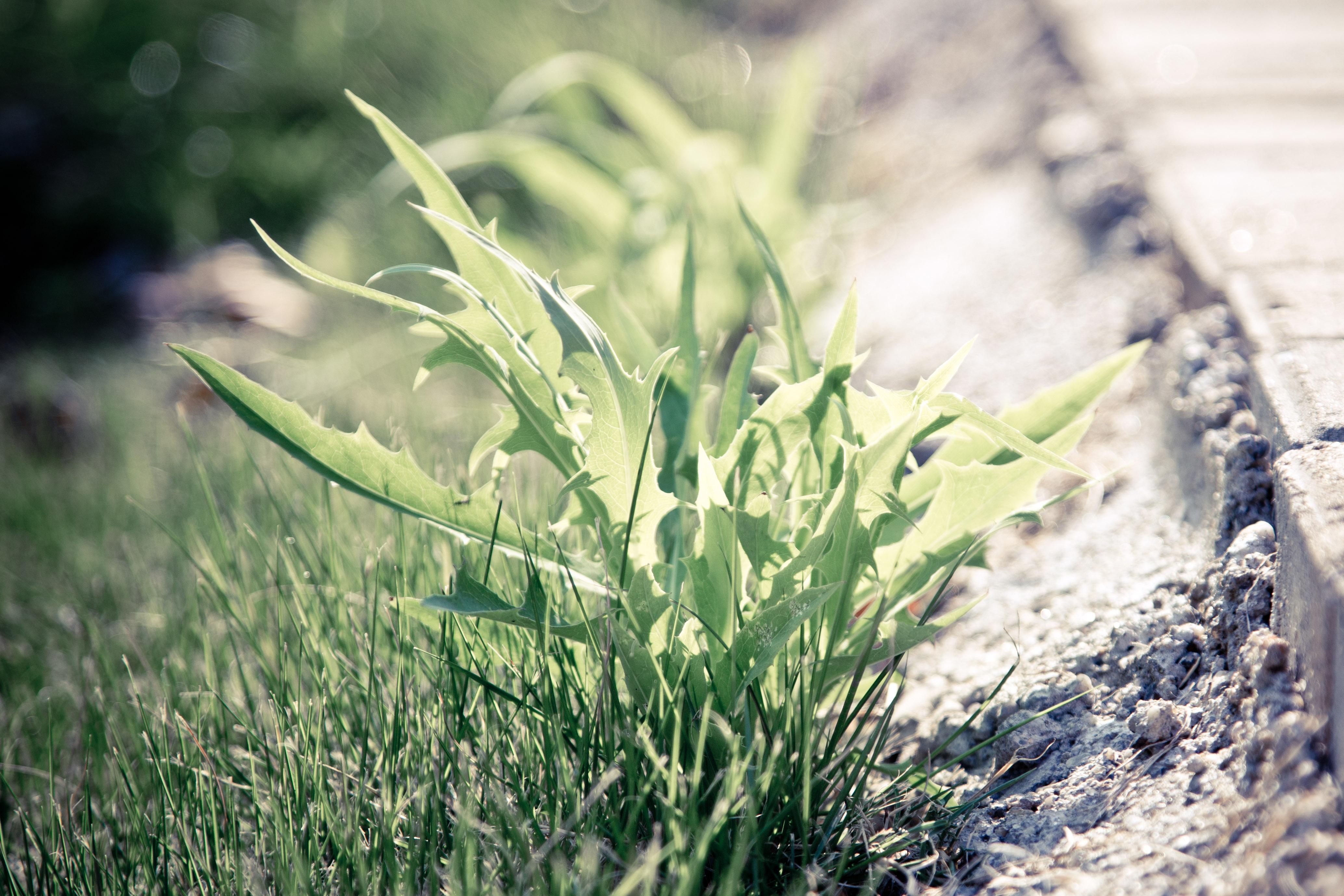 2021年春天,你又抓拍到了哪些美景? - 知乎