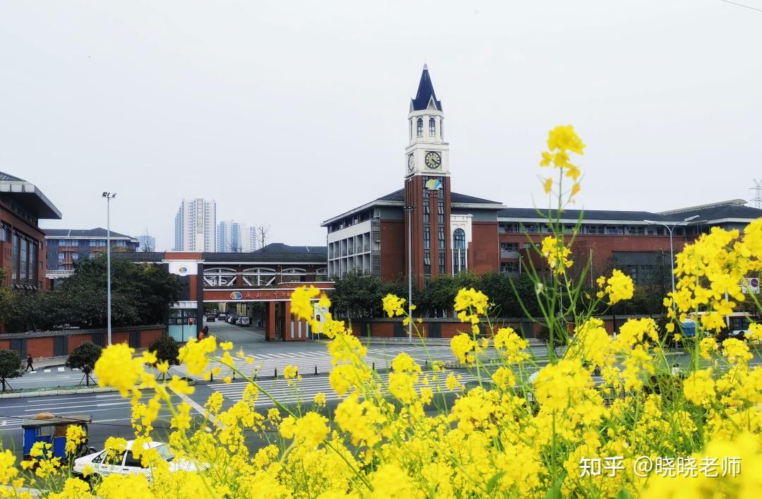 成都七中万达学校国际部 - 知乎