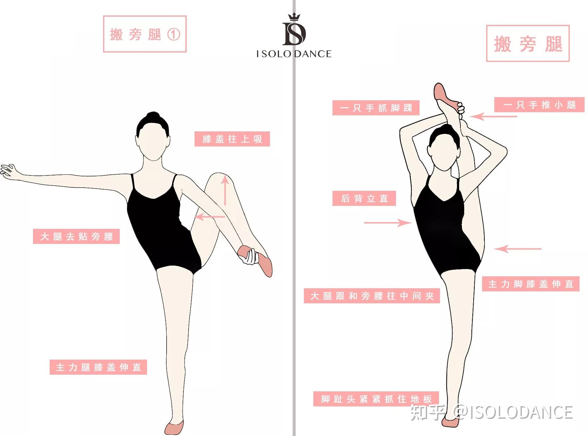 【单色舞蹈】少儿中国舞初级班基本功腿组合展示_哔哩哔哩_bilibili