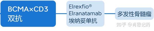 记住所有FDA生物药 | BCMA×CD3双抗 | Elrexfio® Elranatamab | 多发性骨髓瘤 - 知乎