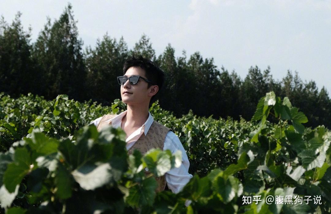 与王楚然恋情曝光，依然保持沉默？网友已经替杨洋想好如何回应了 - 知乎