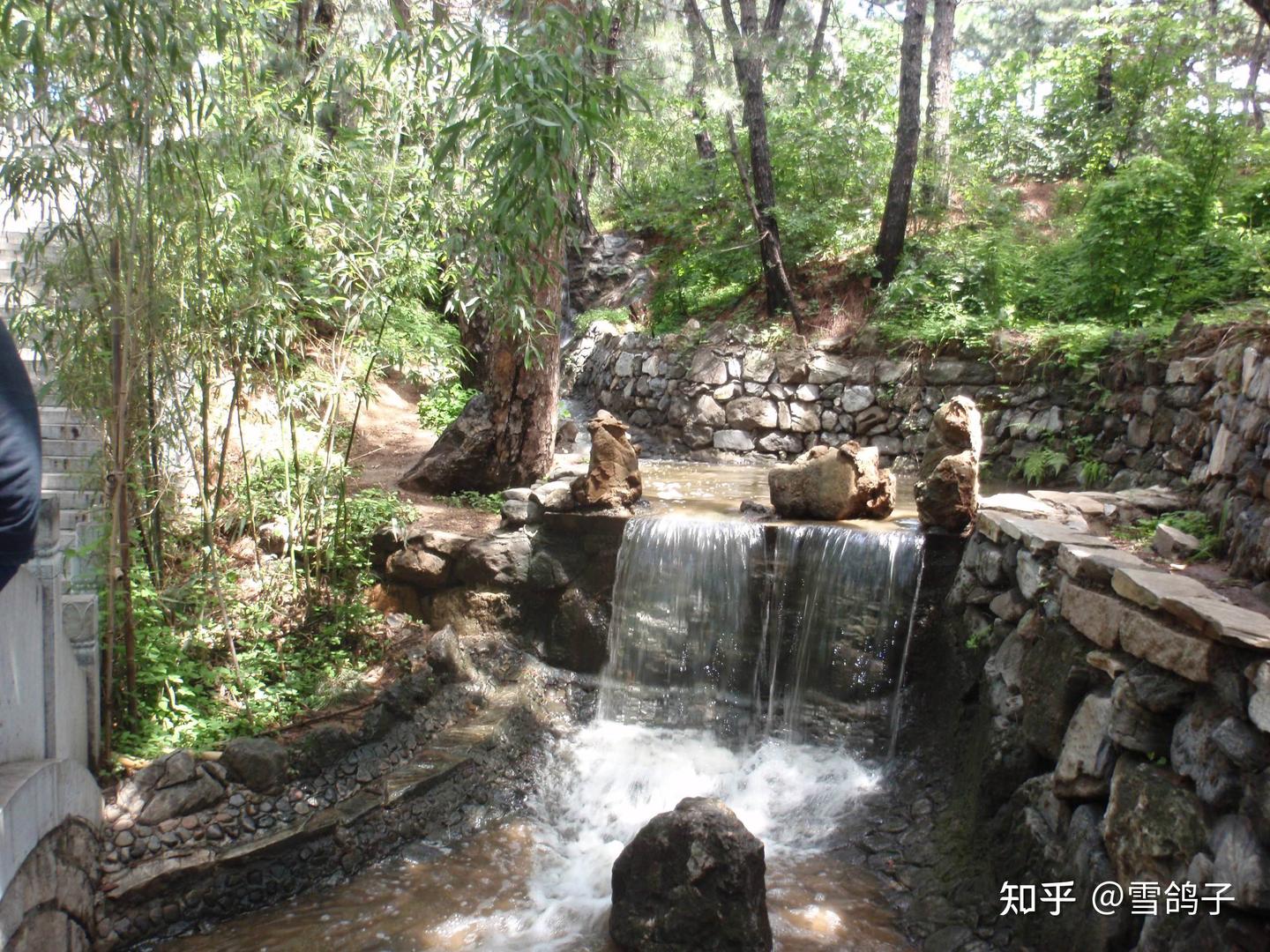 怎样识别君子与小人 - 知乎