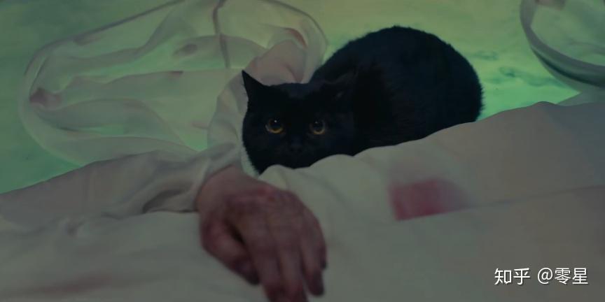 妖猫传刘昊然定妆照受热捧造型背后的角色故事更让人泪目