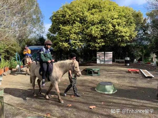 2023新西兰 | 插班3周“微留学”游学营 - 知乎