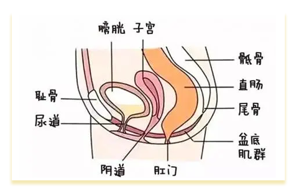 嘿嘿嘿时想尿尿