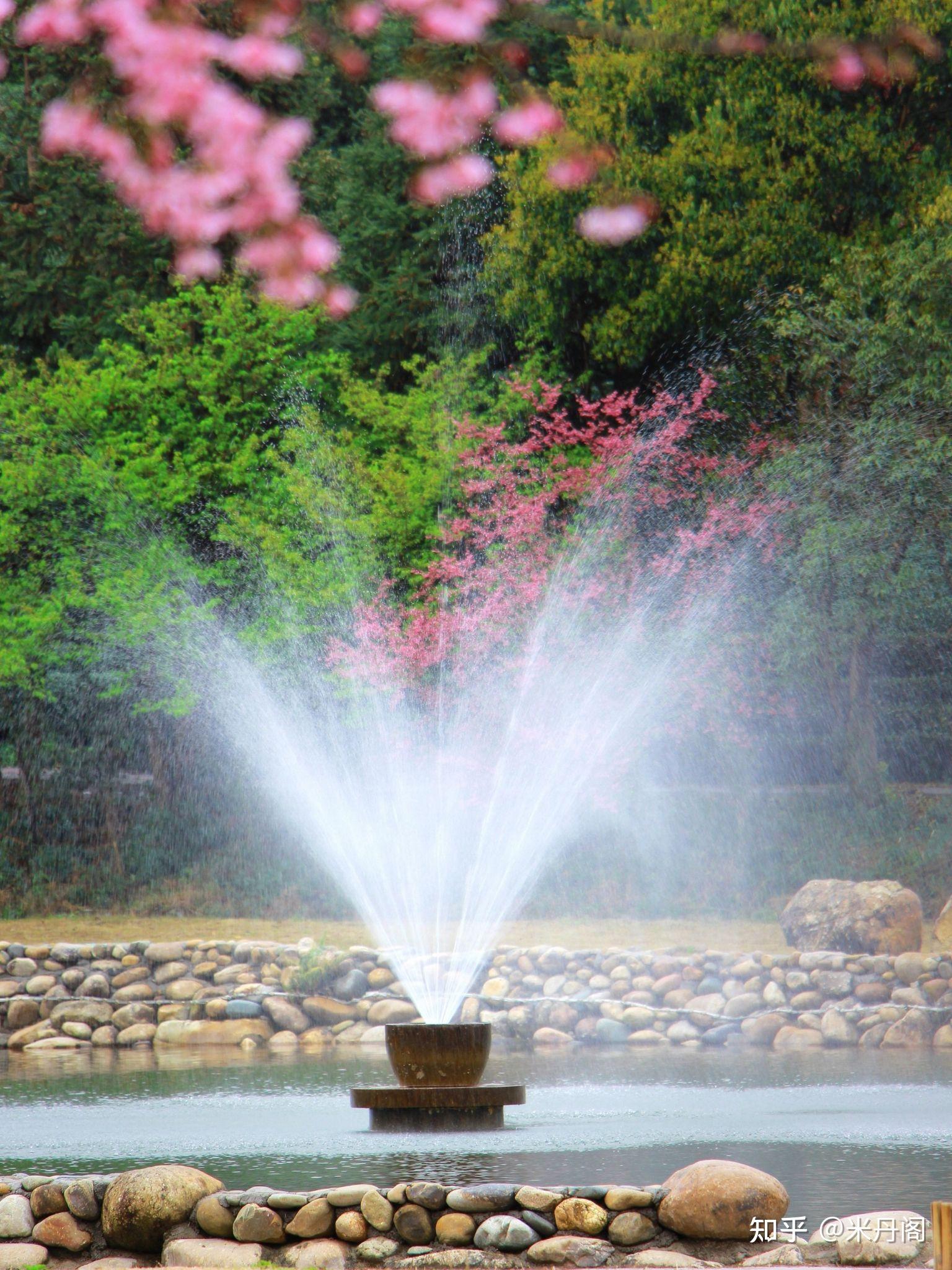 一个人乘兴随意溜达,来到粉墙黛瓦的马墙头下,这是