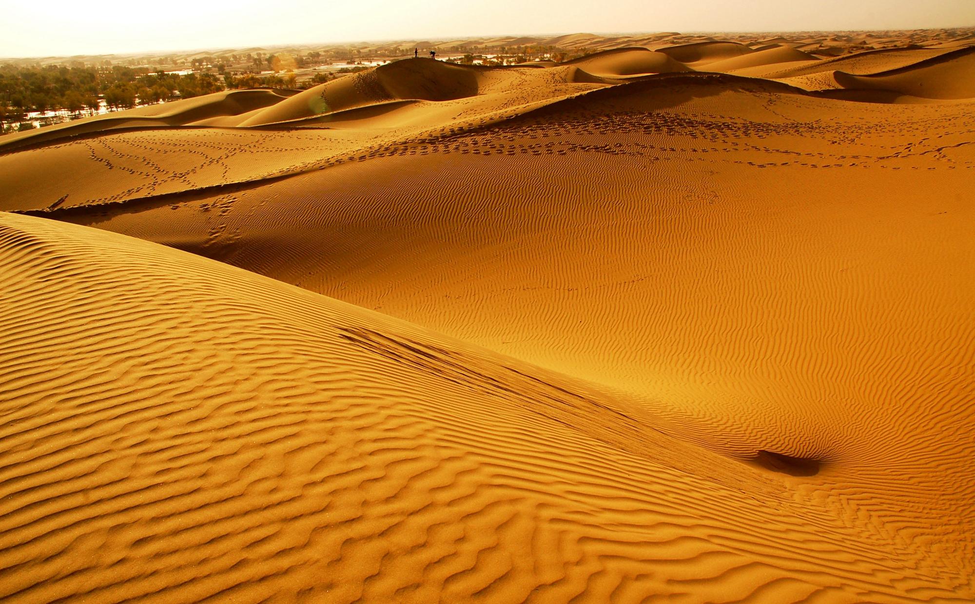 楼兰何以灭亡 - 知乎