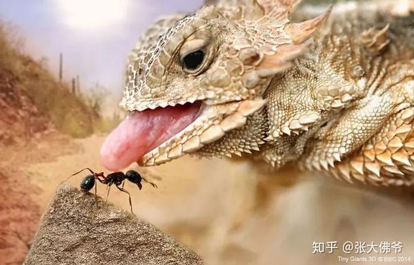 每日影视推荐03