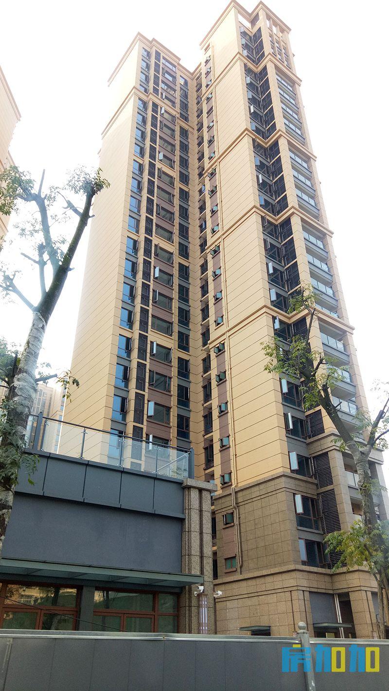 —龙城半岛,犀浦地铁站旁的小楼盘,质量却