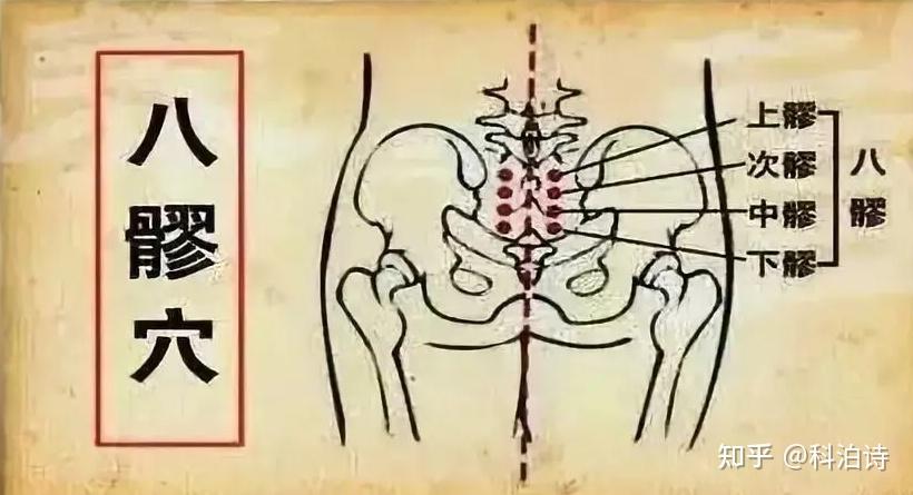 八髎穴,每天灸一灸,疏通气血,是女人的气血开关!调理妇科疾病! - 知乎