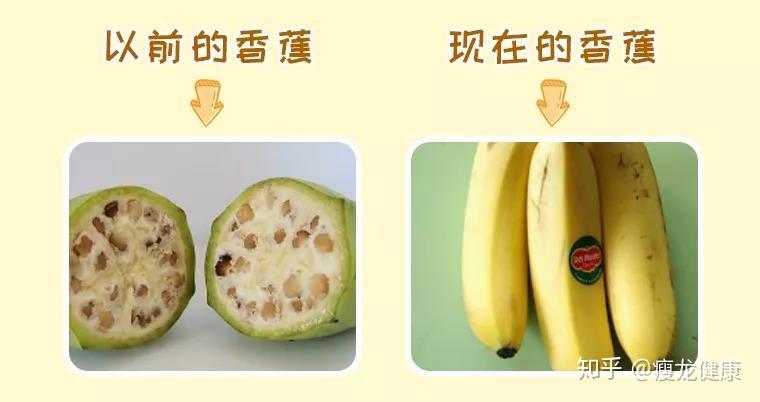 减肥可以吃香蕉吗香蕉和糖果血糖测评对比