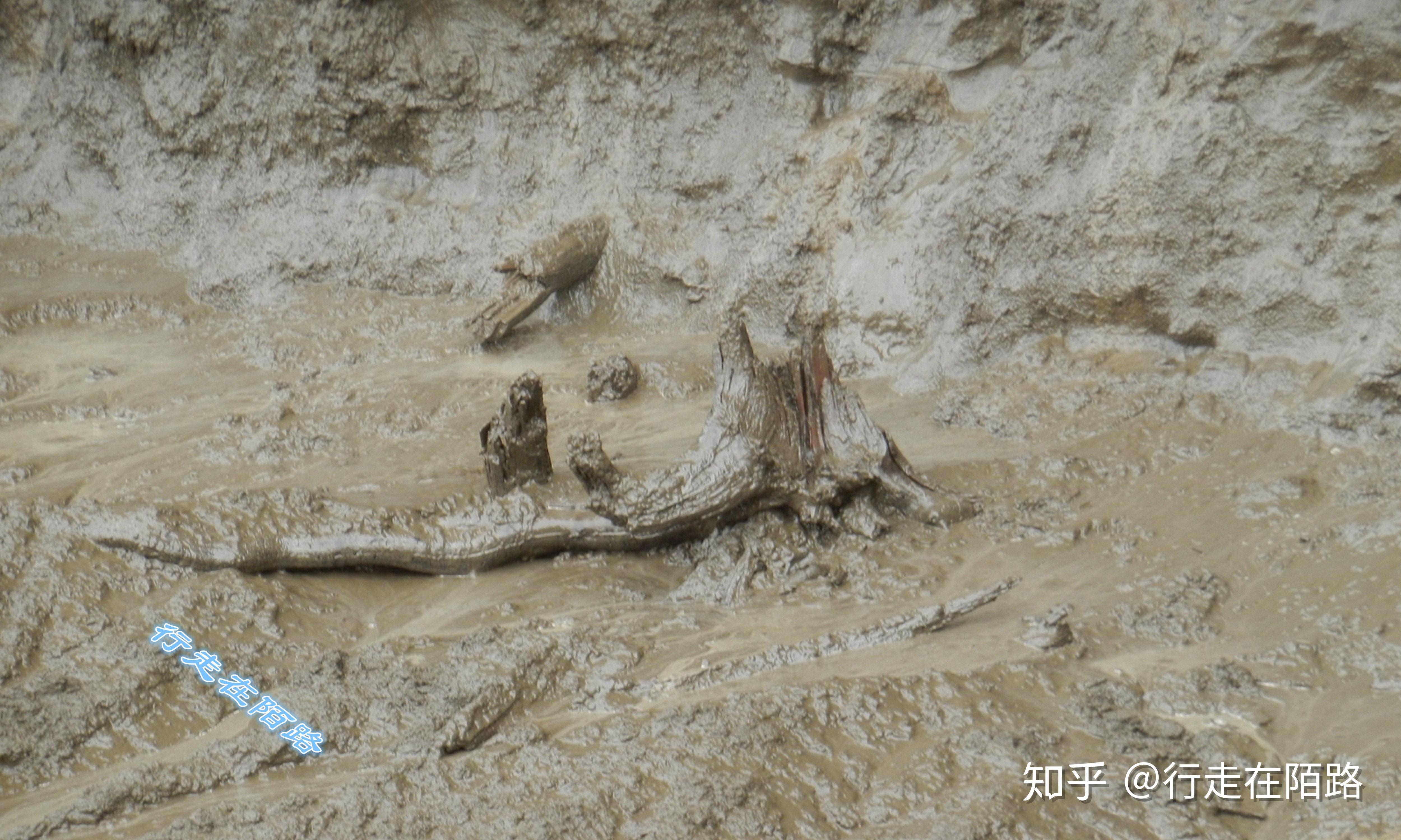 俄罗斯永冻土融化:地面下陷百米深,出土3万年前的马化石 - 知乎