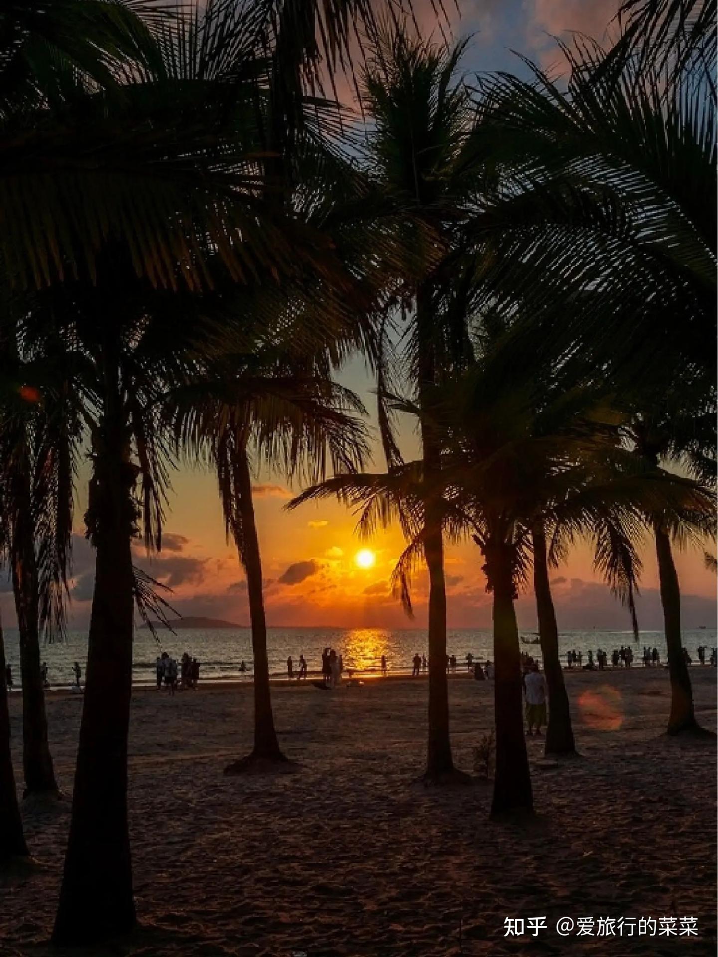 带爸妈三亚旅行🏝️这个攻略太省心啦🎈 - 知乎