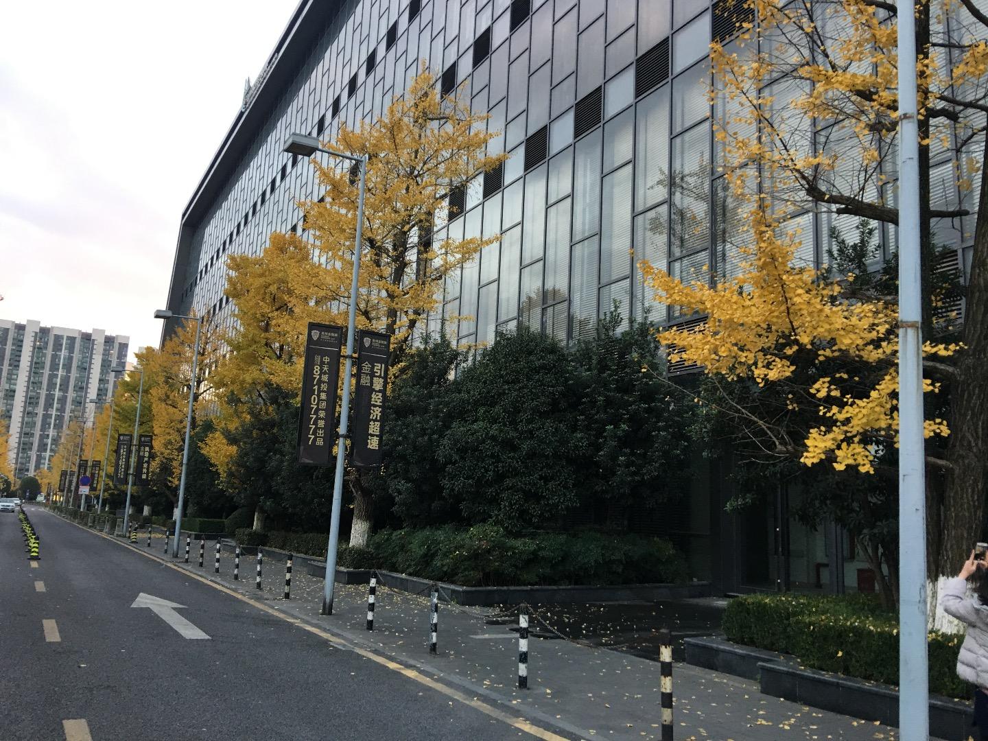 算术平均数vs 几何平均数 知乎 算术平均数vs 几何平均数 知乎