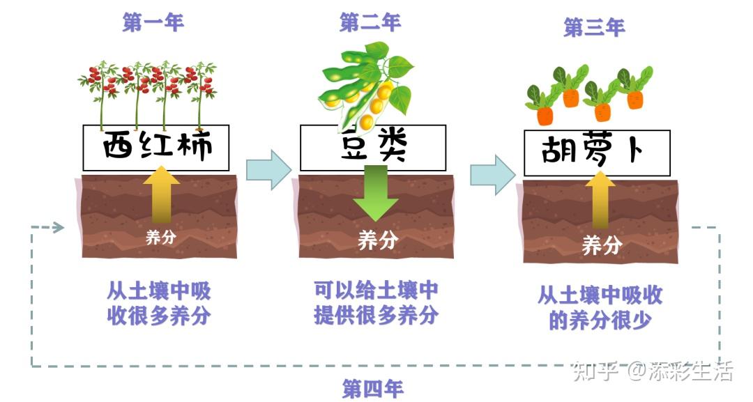 轮作/间作/免耕/垄作/连作/休耕都是什么?(收藏) - 知乎