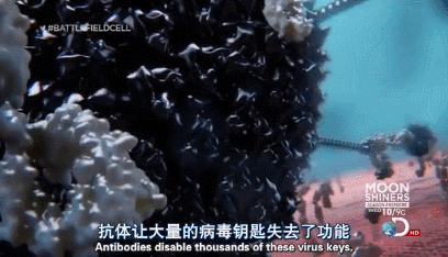 《绝对好奇:细胞战场》bbc纪录片讲述病毒入侵人体全过程,看完忍不住