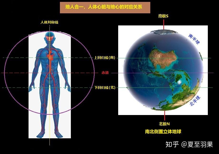 地人合一人體心臟與地心對應關係的解析