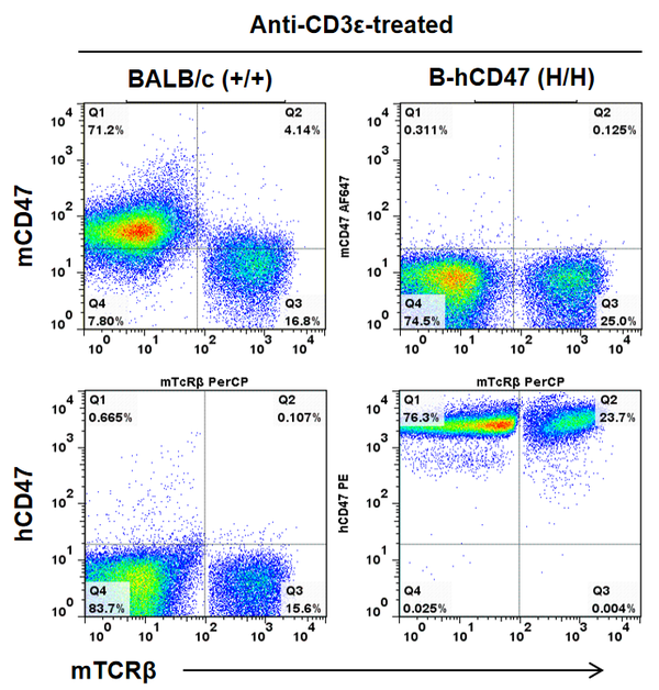 【双11大促·低至8折】BALB/c背景人源化小鼠来袭 - 知乎