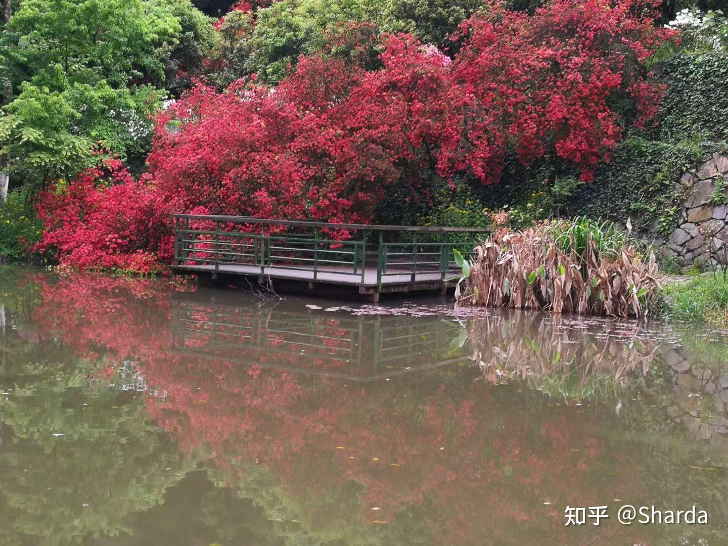 如何get天天过马路crossy road里的储蓄猪 知乎