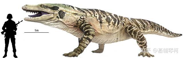 新生代巨兽猛兽及其他掠食者精简名录古兽争锋榜第四纪篇