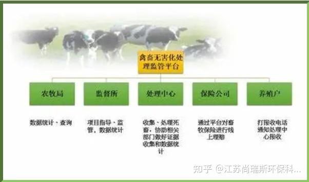 病死畜禽无害化处理-守护生态与公共卫生的关键之举 - 知乎