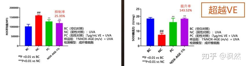 国内外首个抗氧抗糖人体检测标准发布!珀莱雅直接填补行业空白