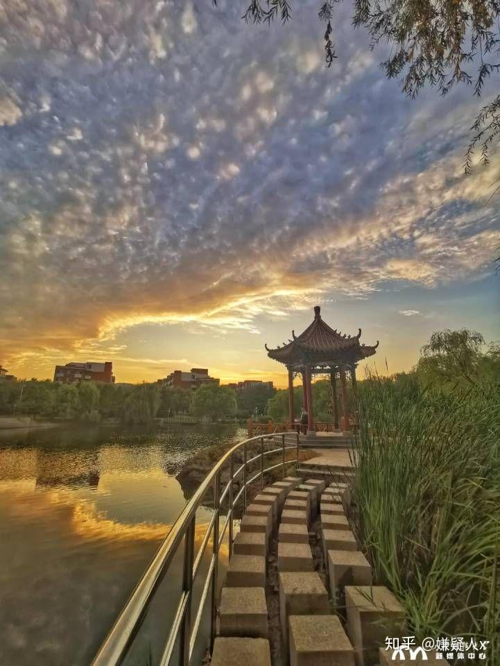 山东科技大学的景色到底有多美