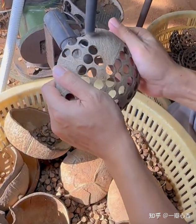 05|凤眼菩提:被"小尺寸"拖累的"佛家圣物"凤眼菩提作为三大菩提之一