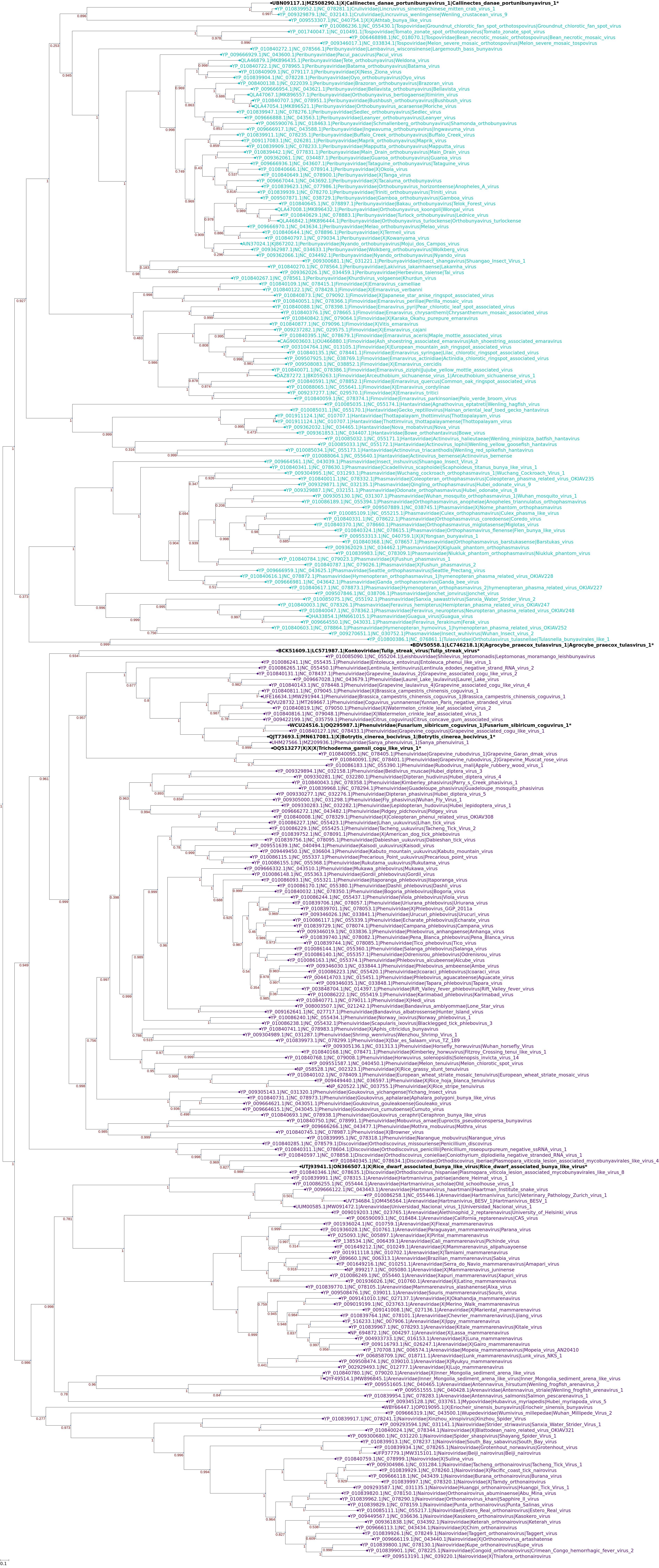 ictv生物病毒分类系统:2024更新情况介绍(上)