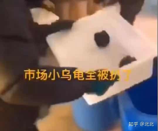 猫去世后如何处理遗物 v2-b4a2f5bfeb09a9b1e3fb6565d1c4559e_r.jpg