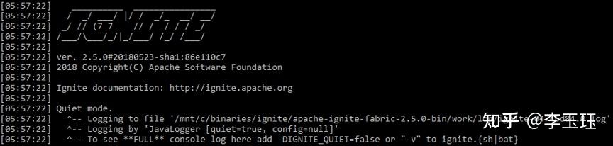 搭建第一个Ignite集群时的注意事项 - 知乎