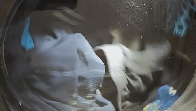 v2-b4a7a6acbf9064b32df3e7384c4b40b6_r.jpg