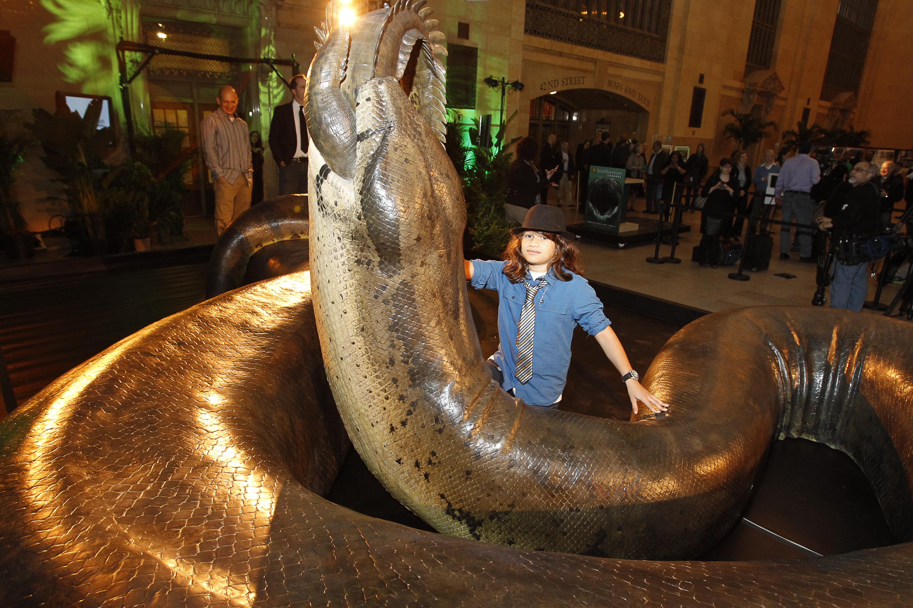 泰坦巨蟒的前世今生：身长15米、体重2200斤的巨蟒，为何如此之大 - 知乎
