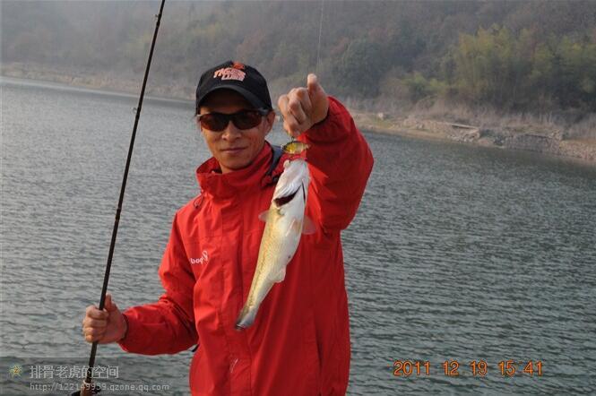 17路亚波爬的特点老虎路亚排骨老虎路亚钓鱼垂钓基础