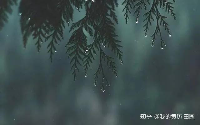 v2-b4cb818ec27db8afbf7dcc09b84270b6_r.jpg