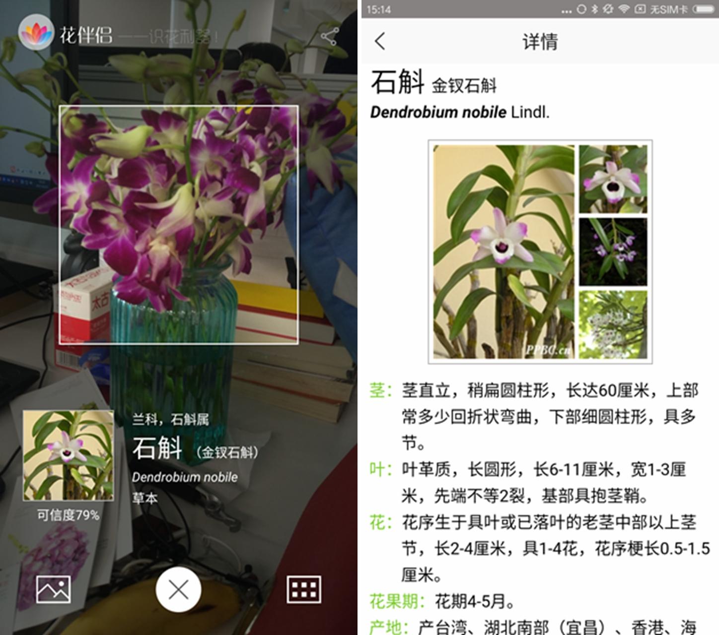 花伴侣基于中国植物图像库海量数据,可以识别5000种左右的植物,而每一