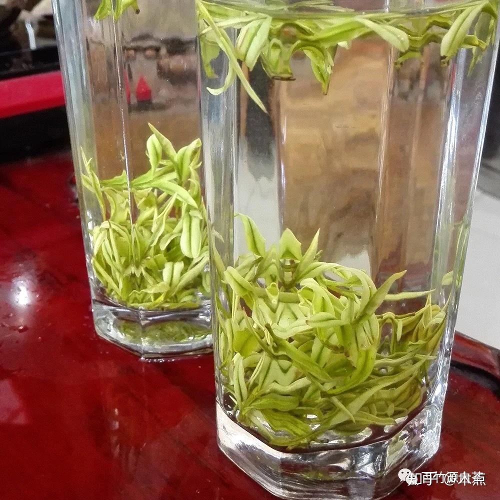 教你一招如何冲泡安吉白茶深度好文