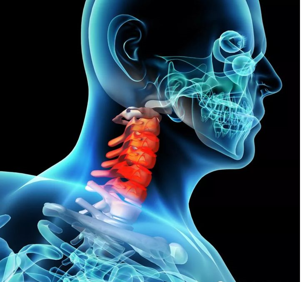 高性价比品牌推荐,颈椎按摩枕有用吗?实测体验颈部按摩枕之后告诉你!