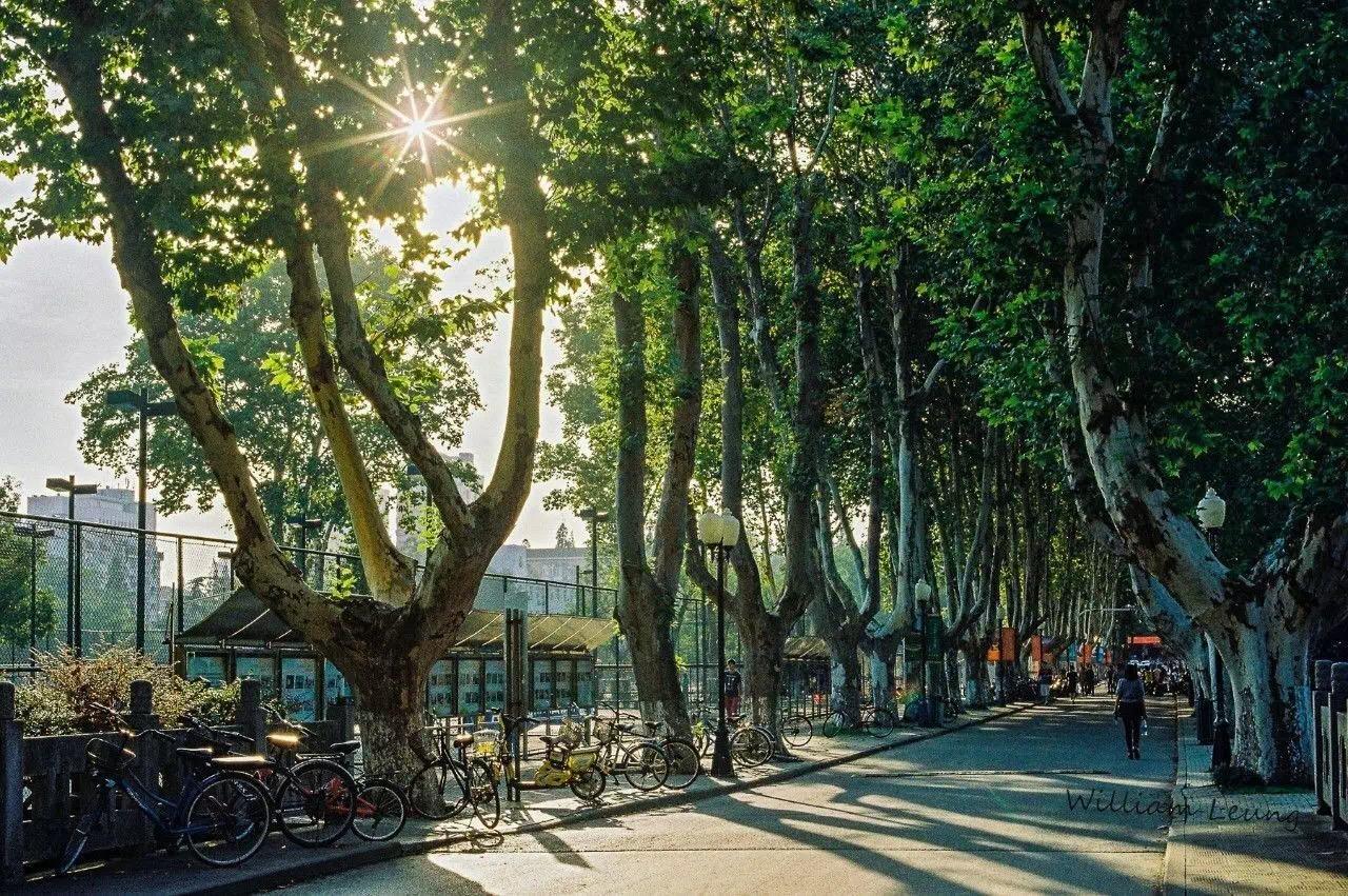 读书 | 看《乌合之众》浅谈中国高考和教育制度