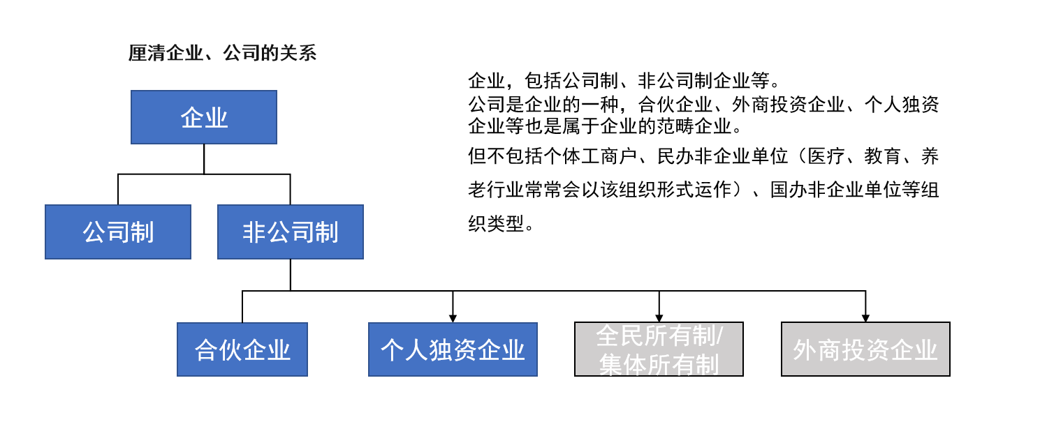 斗饷薪视野薪税师实战知识1商事主体
