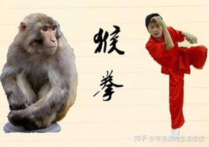 这种拳法历史悠久在实战中不给对方喘息机会以快制胜